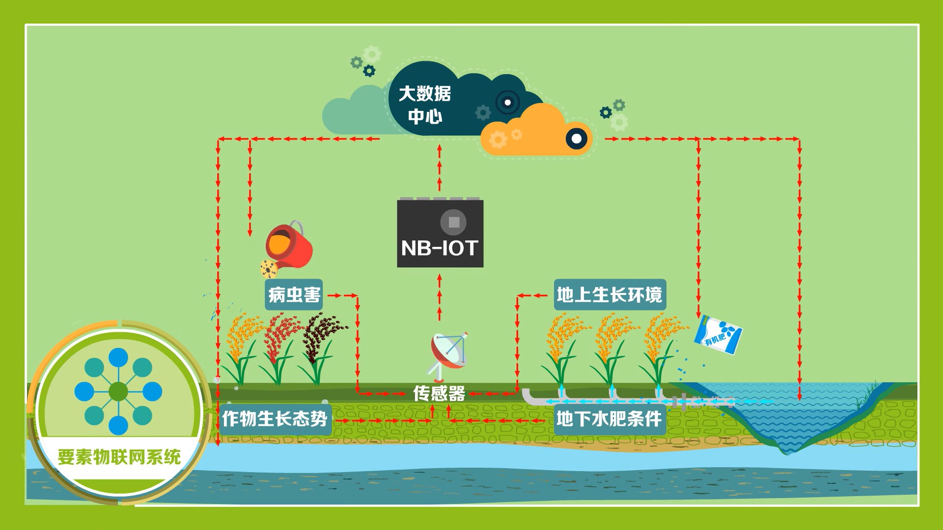 30秒带你了解"四维改良法" 海水稻种植在不同的地区,需采用因地制
