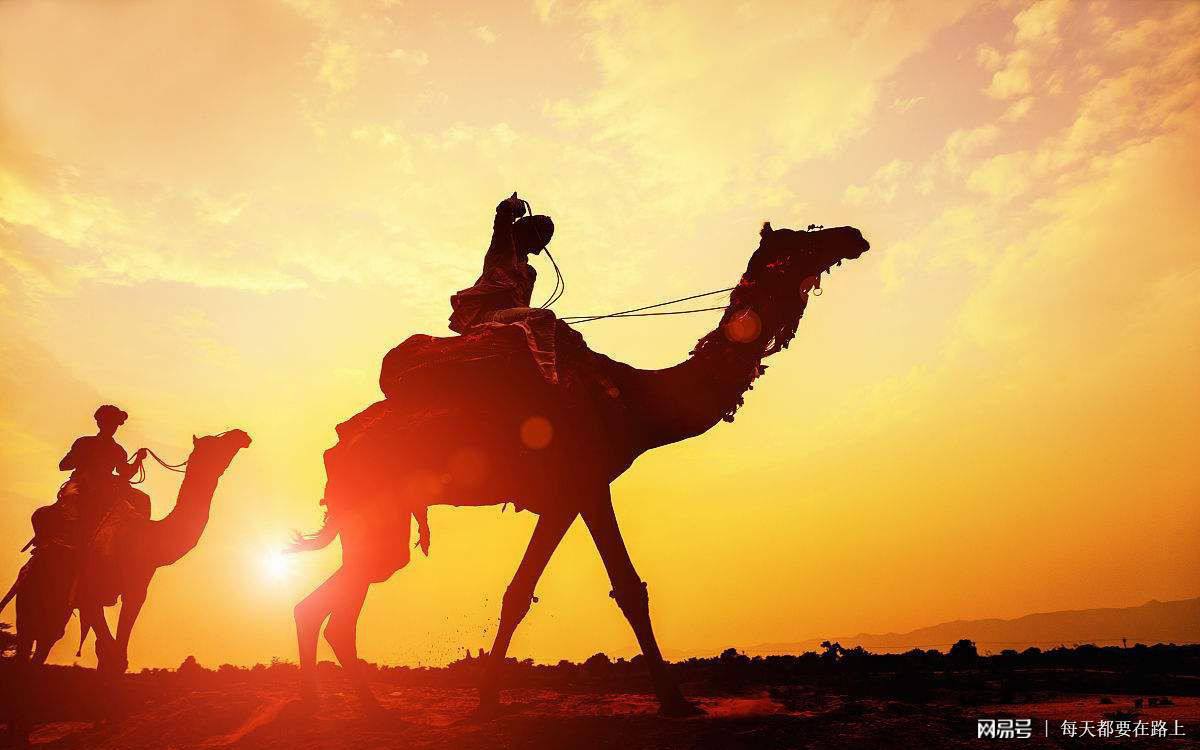 《沙漠骆驼》版《气候类型及其成因
