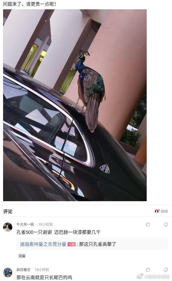 沙雕关于车文案,关于车的沙雕文案