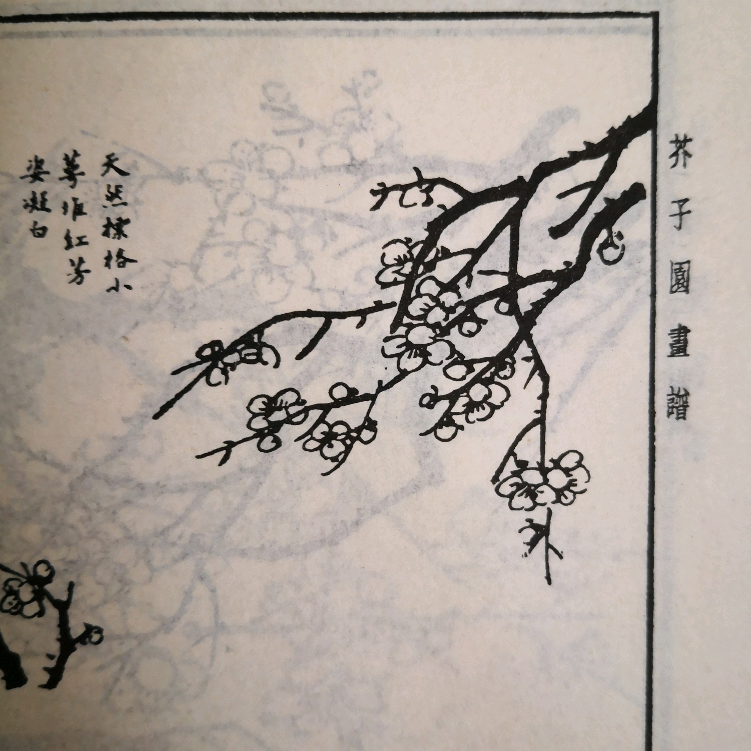震惊肖战的梅花竟然这样构图