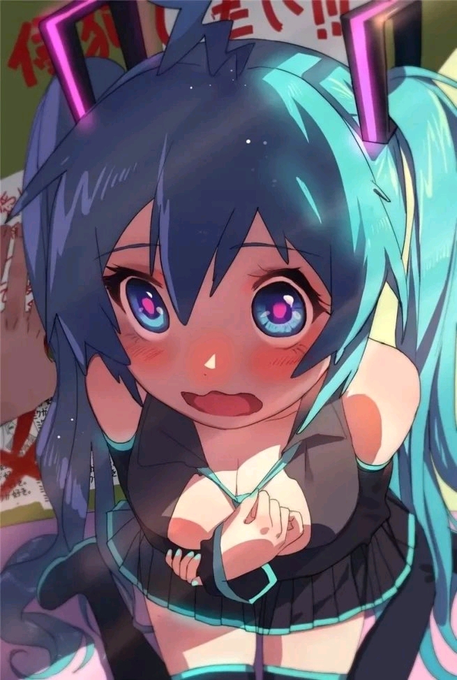 二次元壁纸no2初音未来竖屏壁纸