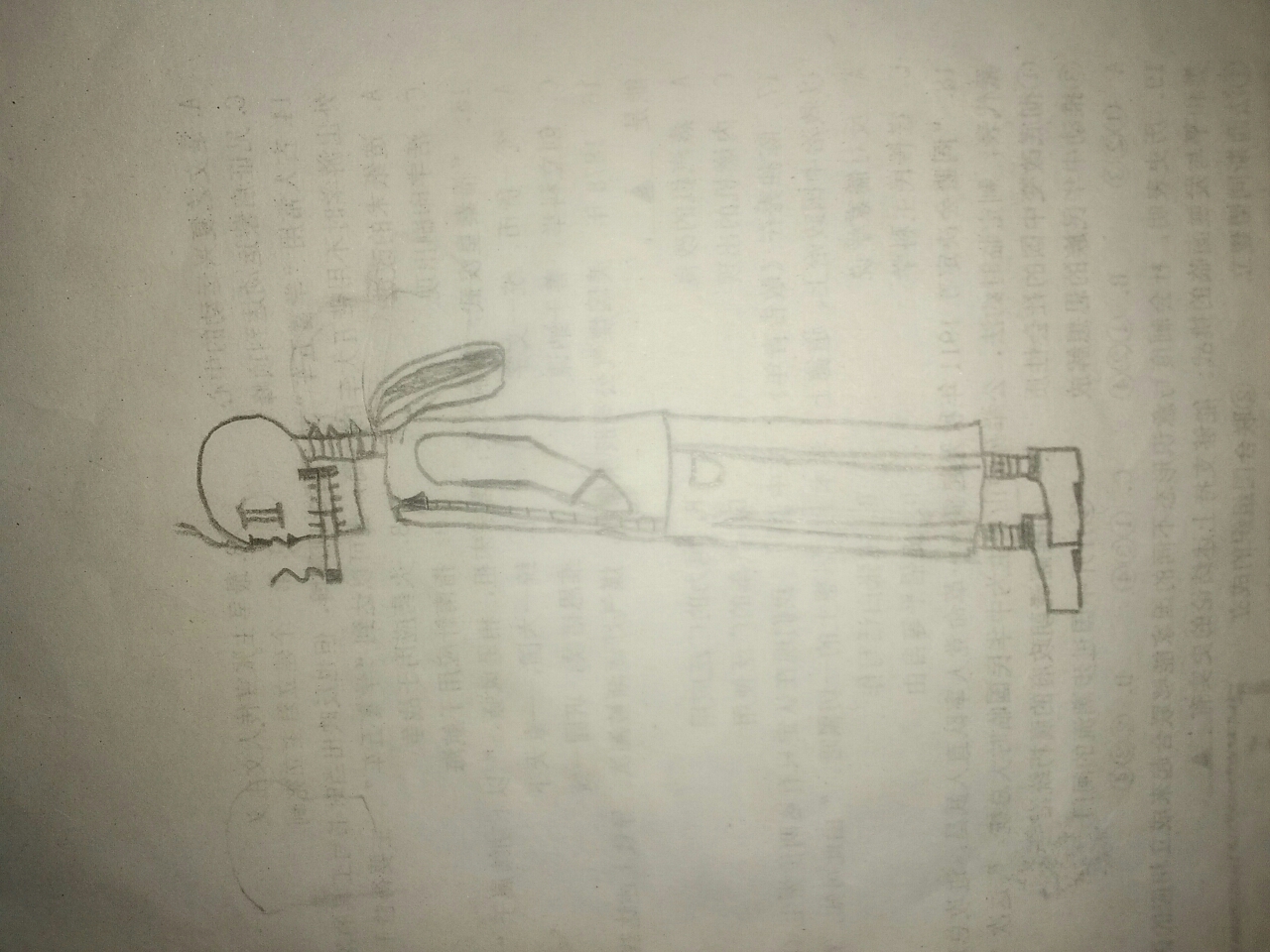 我最爱的老烟枪