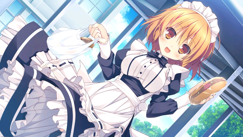 clover day"s壁纸