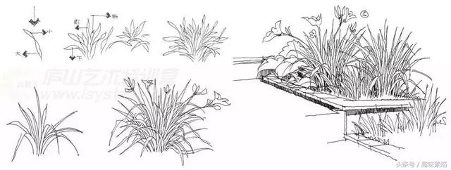 练完这些植物手绘麻麻再也不用担心我画不好风景速写啦