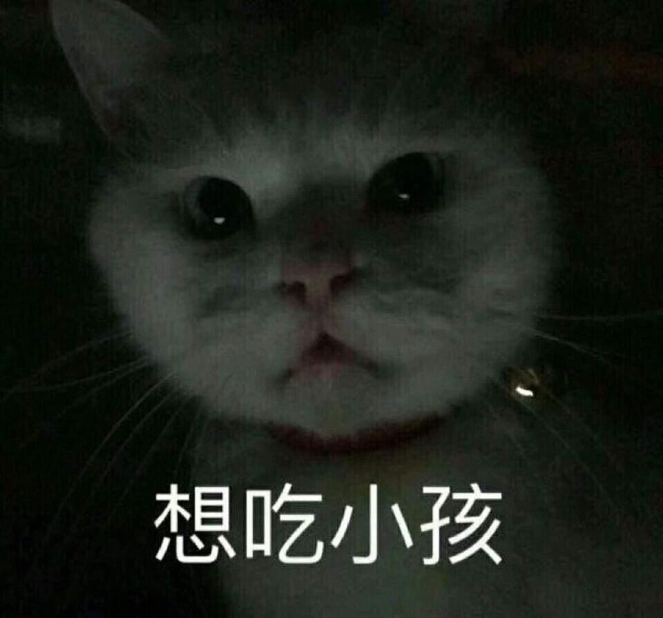 小可爱猫咪表情包要么⑥