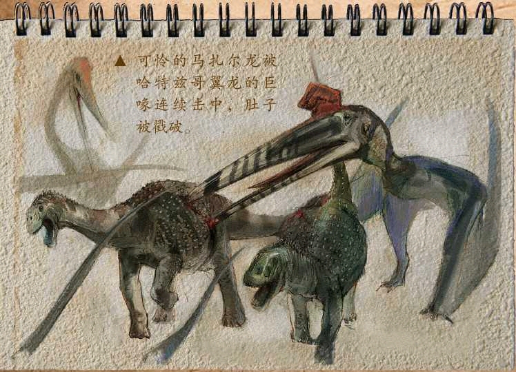 可怜的马扎尔龙被哈特兹哥翼龙的巨喙连续击中,肚子被戳破.
