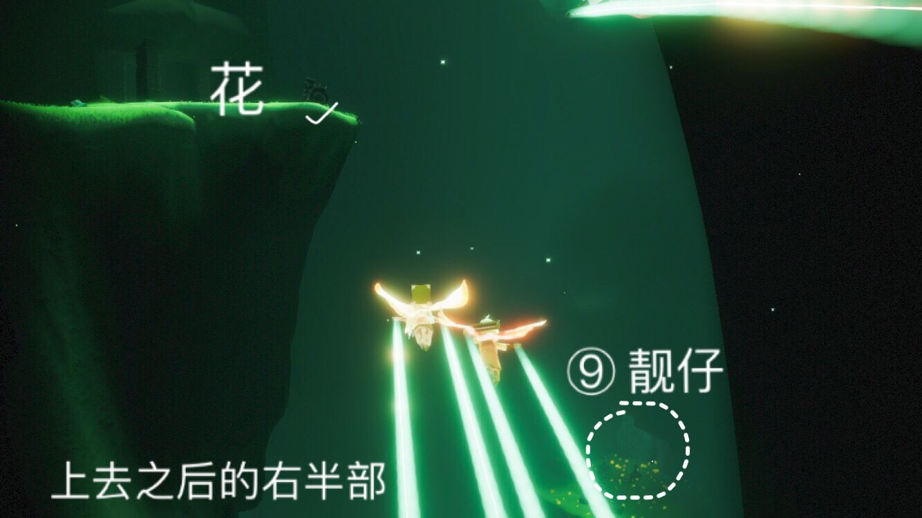 光遇雨林小金人位置