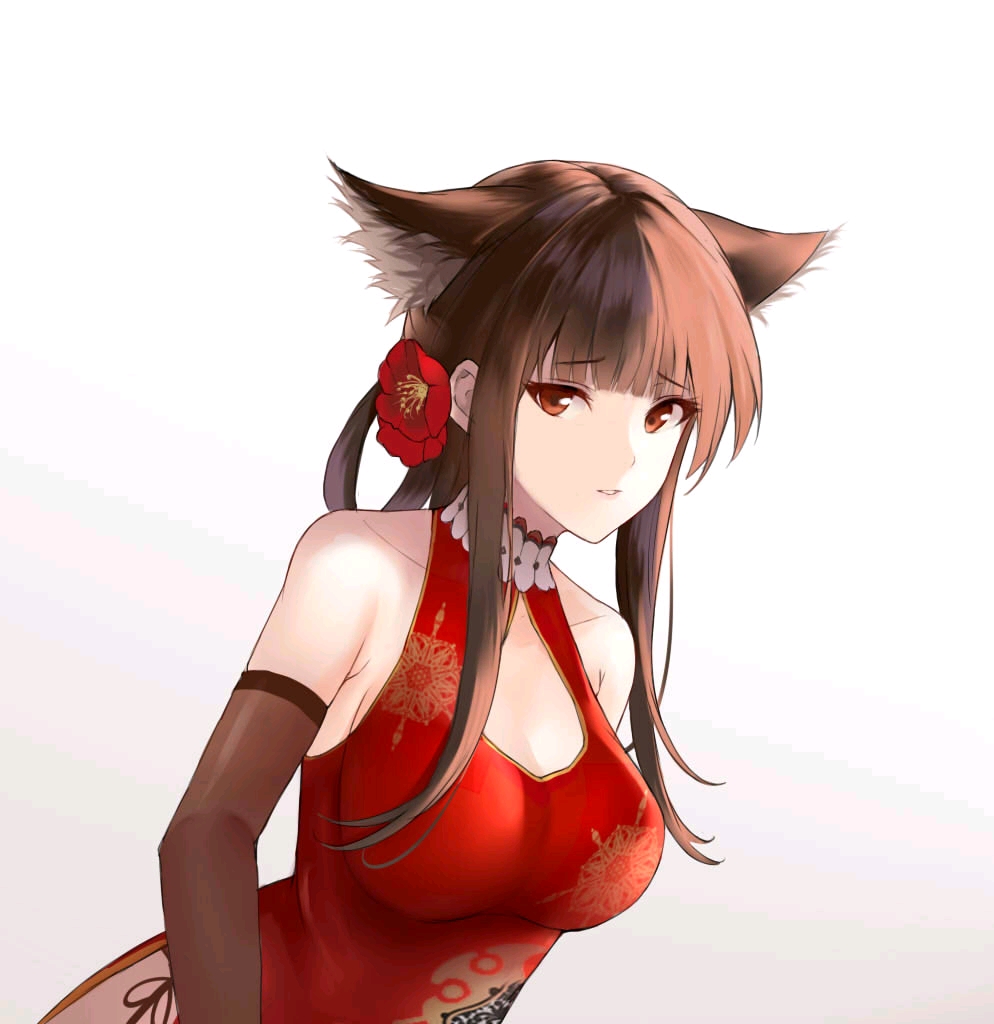 少女前线dsr50专集三