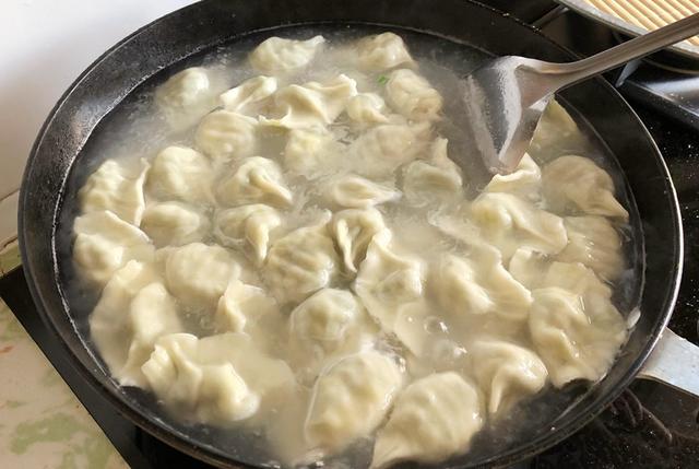 过年用它包饺子,比白菜萝卜鲜,再贵也要吃,我家一周吃