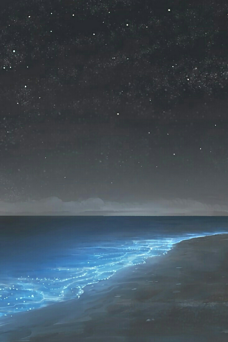 二次元美图壁纸(海边专题第四期)
