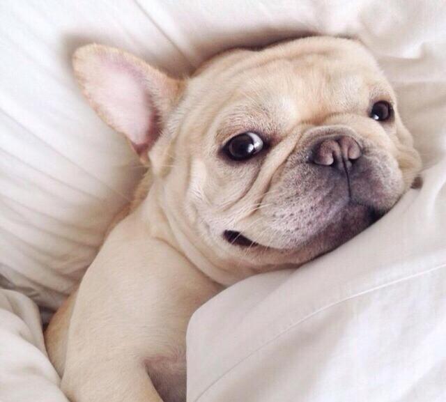 ׿ڿƼƻVǶ֮󡷻ʽ湷