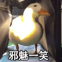 【班棕/德安】军训第一天