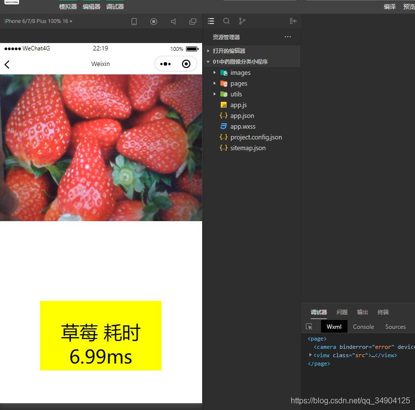pytorch 图像分类算法与小程序开发