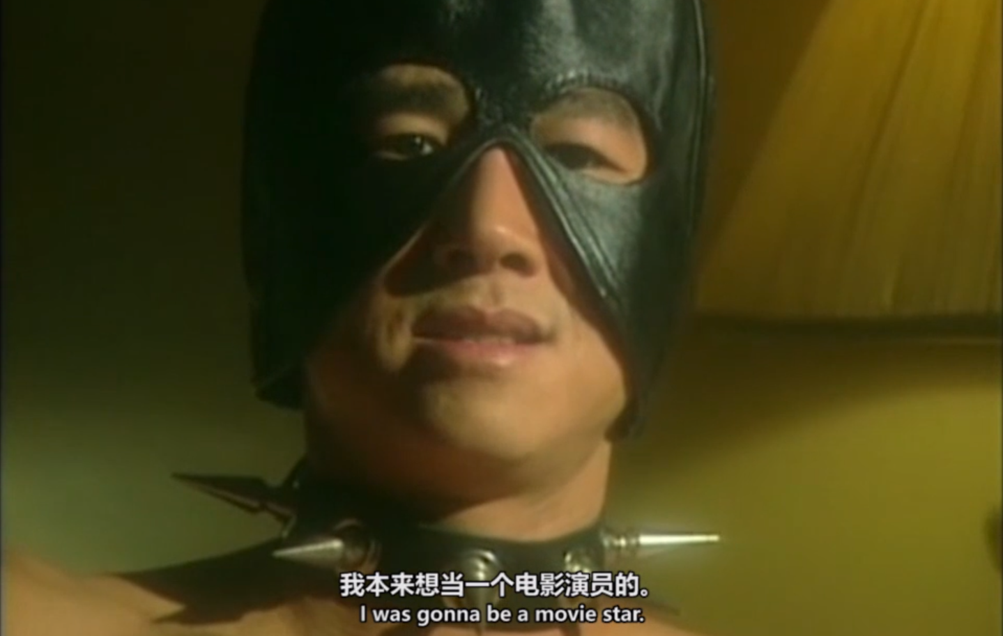 VAN和刘德华,成龙演过对手戏?