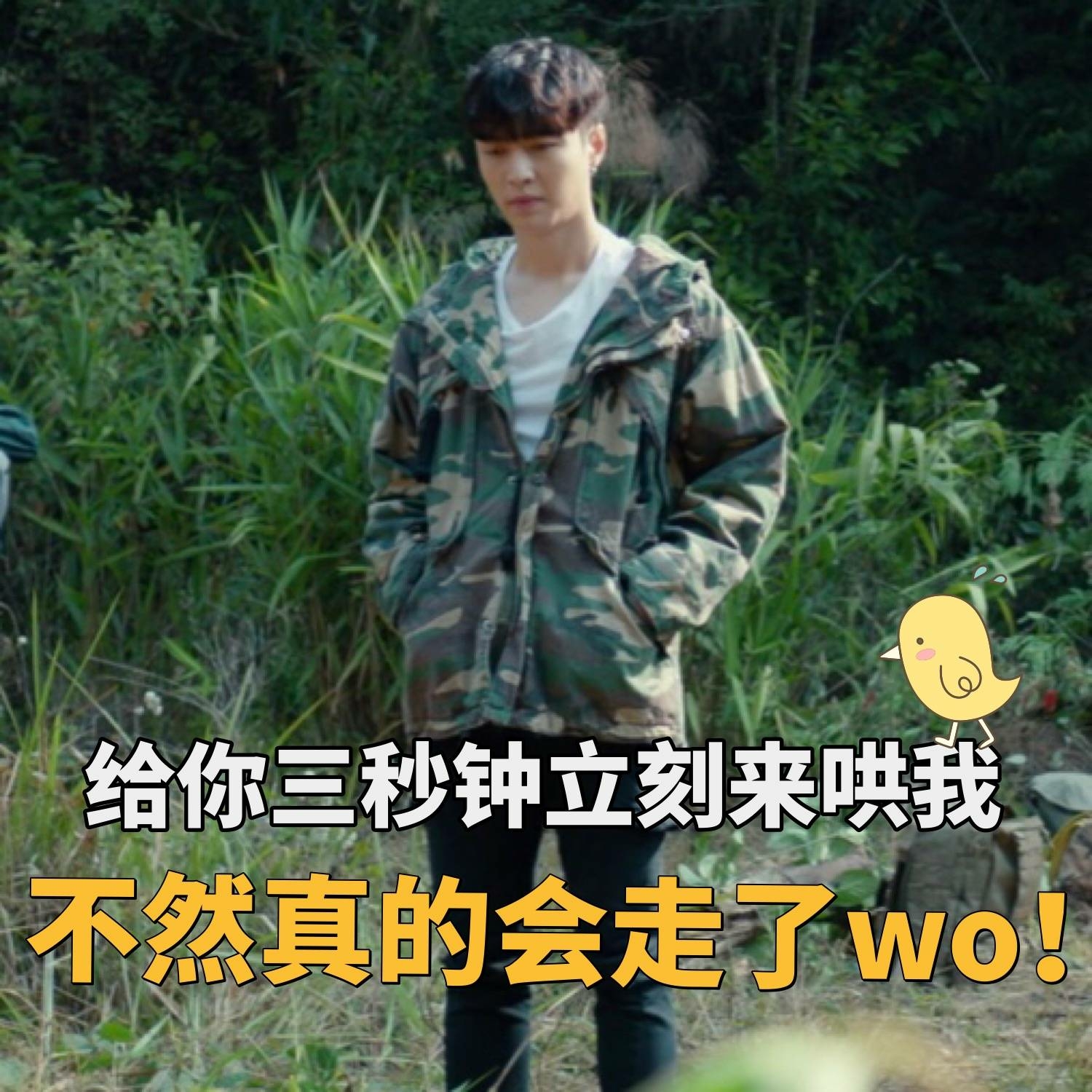 张艺兴小段子(关于绵羊,开车向) - 哔哩哔哩专栏