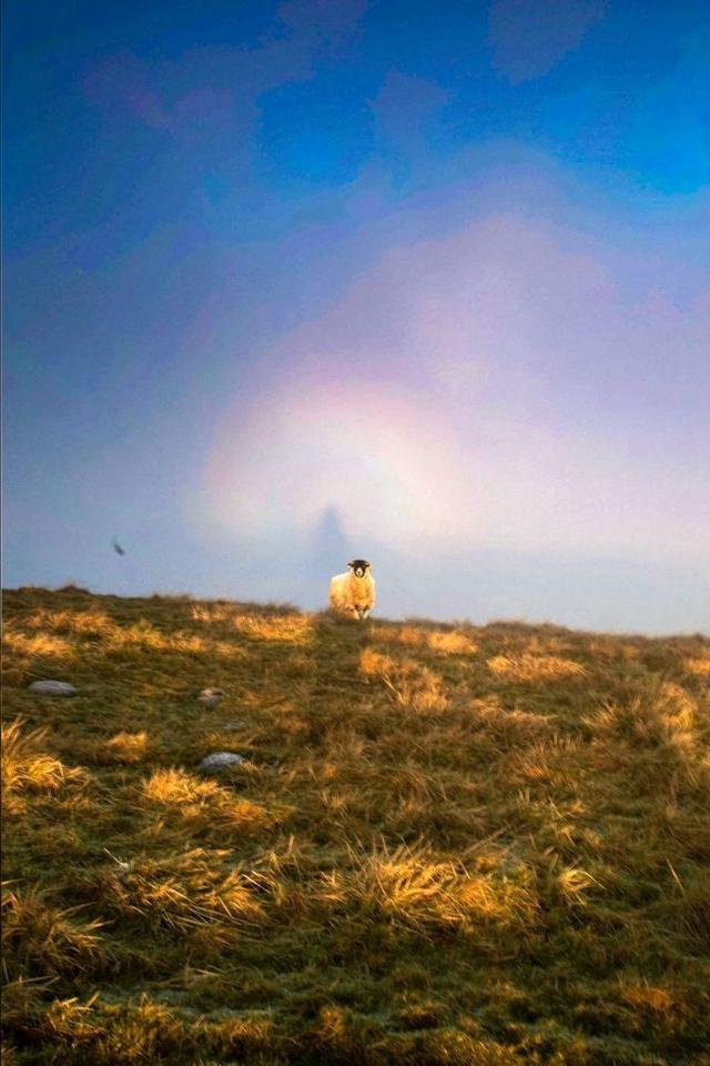 英国摄影师拍到诡异布罗肯幽灵,神秘空中天使却是中国