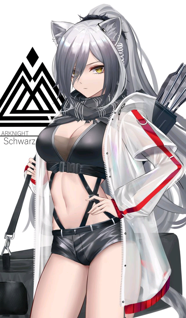 明日方舟美图(贰)