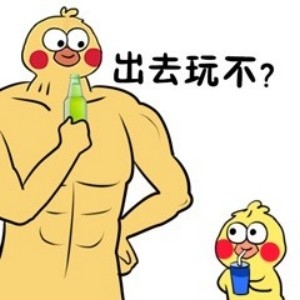 这是一个放送【表情包】的专栏50「脆皮鹦鹉4」