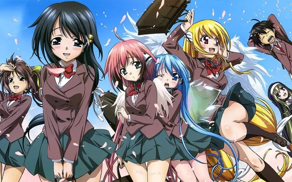 咸鱼的补番推荐—卖肉的后宫番