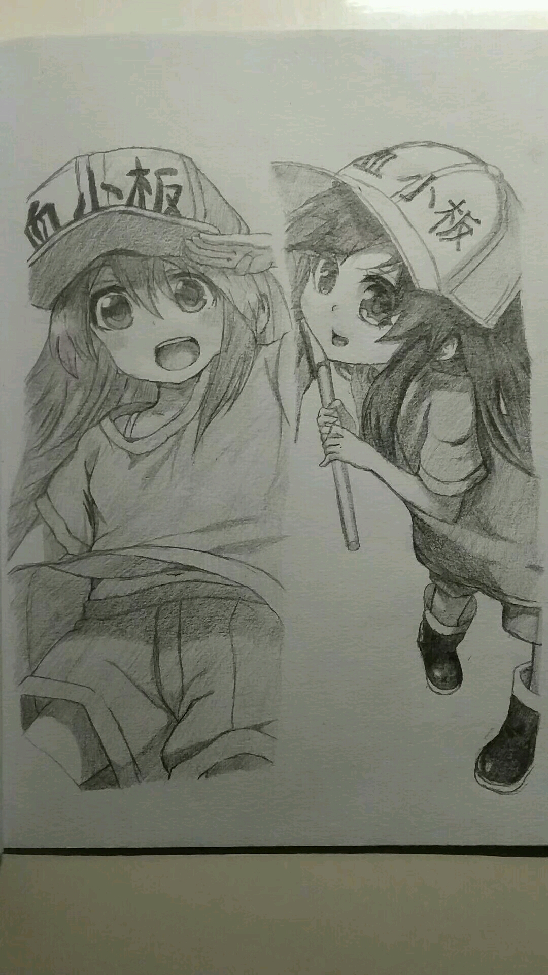 工作细胞血小板相关绘画