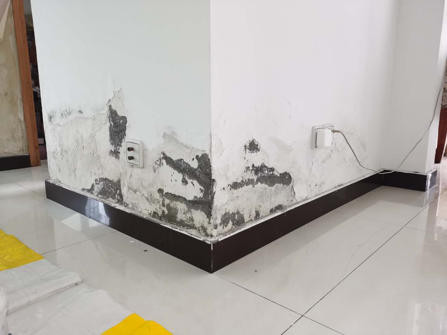 d61624224ac627083bd9e270a9e7930cf228cde1.jpg