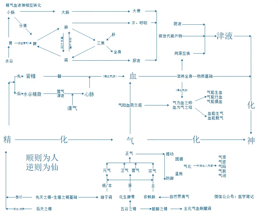 08.气血津液关系图：