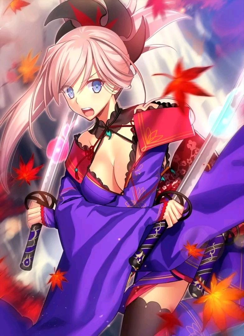 (辉)fate/fgo-宫本武藏美图专辑 (九十五)