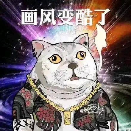 奇怪的知识增加了.jpg【猫猫表情包】