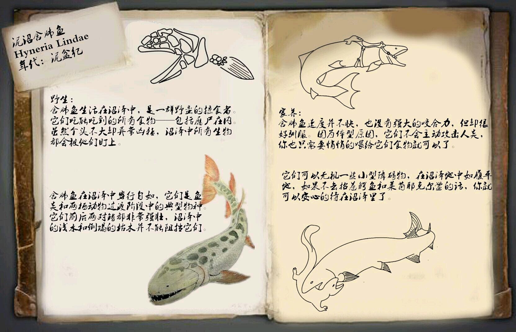 方舟的美丽新世界含肺鱼