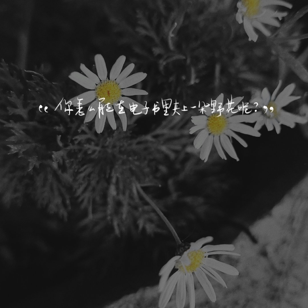 d80989ae3f32fedbe949ad403568ed338288376f.jpg