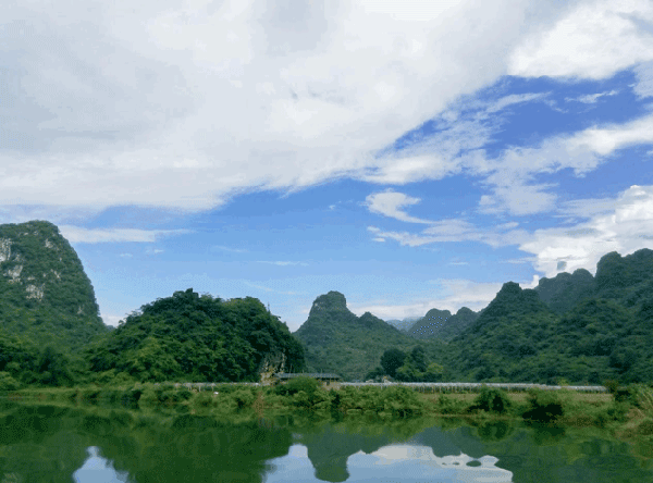 600_444gif 动态图 动图