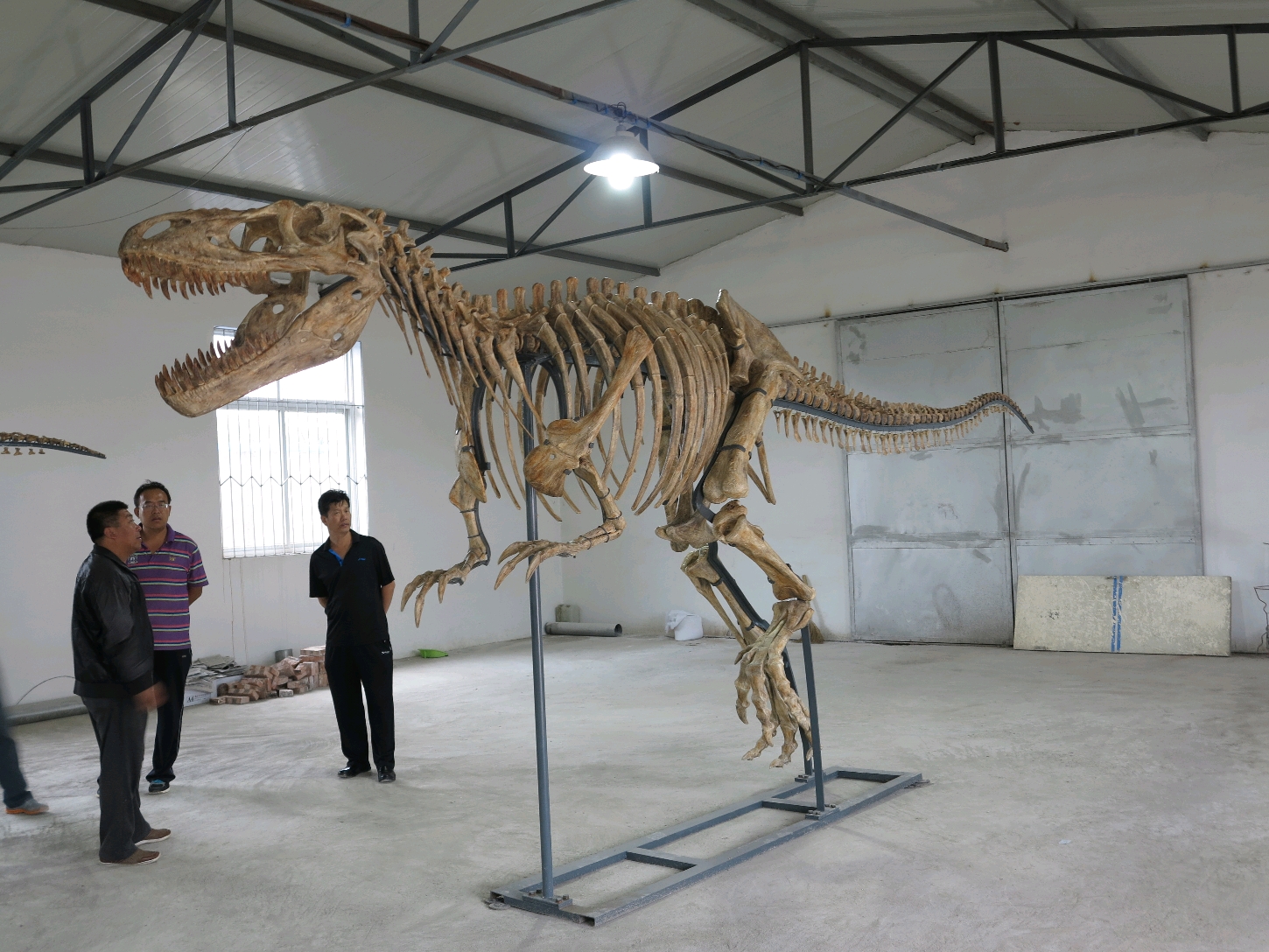 九佛堂的霸主热河生物群的帝王华丽羽王的继任者喀左中国暴龙简介