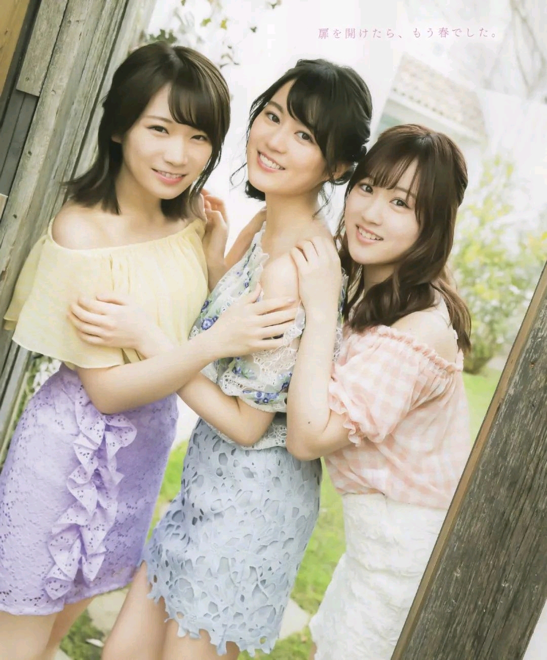 乃木坂(花,嫂,南)