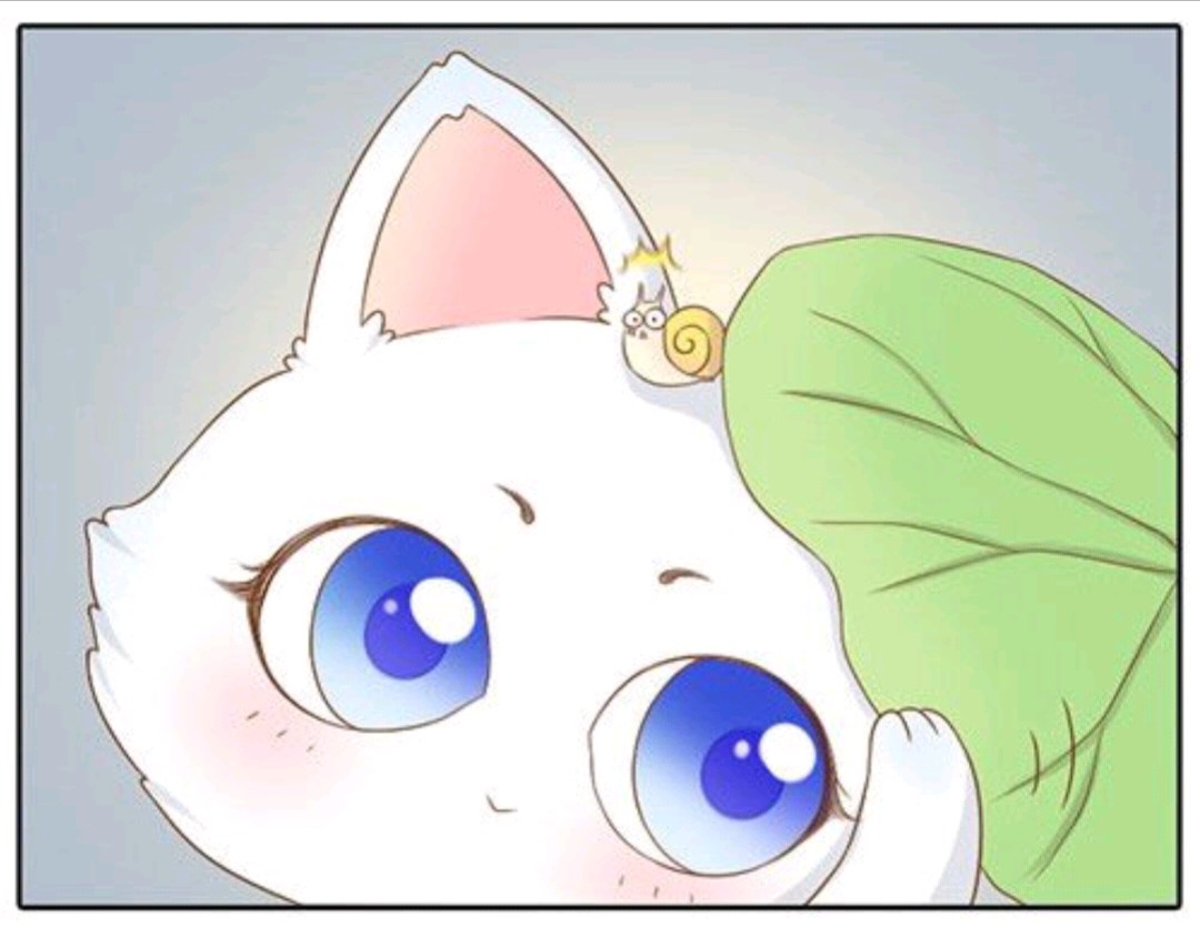 分享一波萌萌哒小狐狸的表情包 萌图