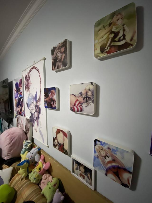 沉迷伊莉雅的死宅的房间是怎么样的看一眼图个乐