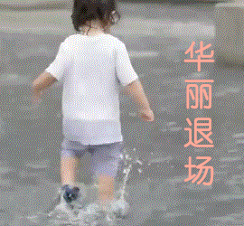 超人回来e297&e247&e248 猪猪表情包(gif)