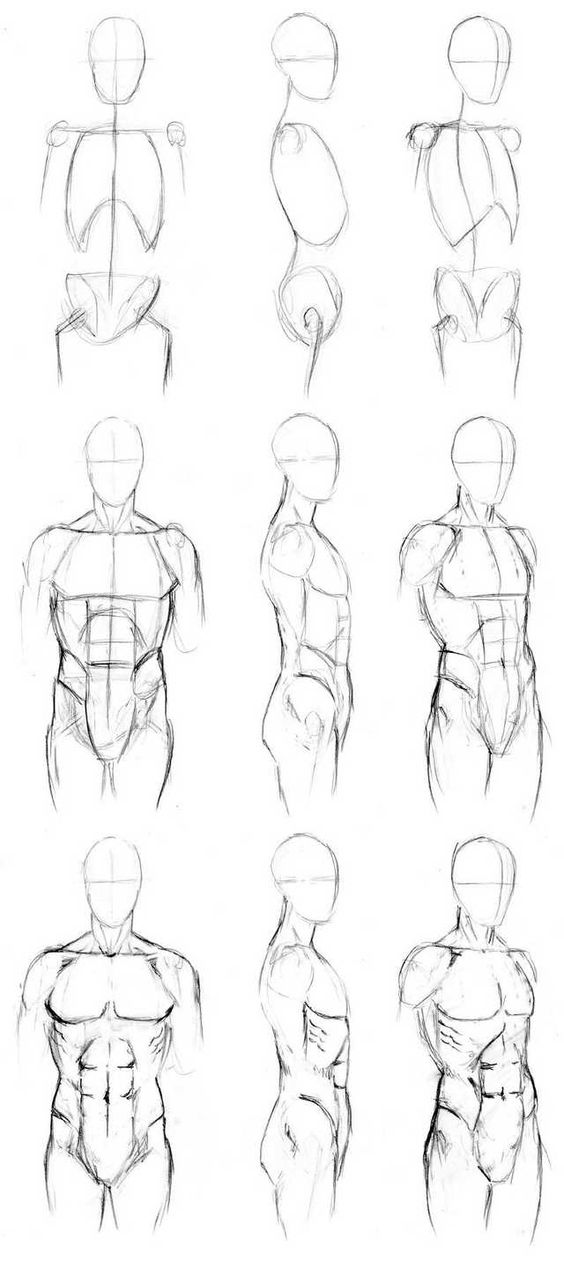 男性腹肌,肚子临摹素材 新手画师不