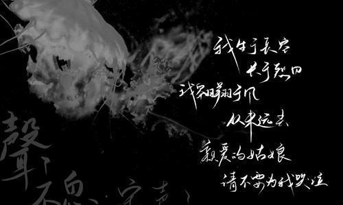 你知道原耽圈的那些意难平吗