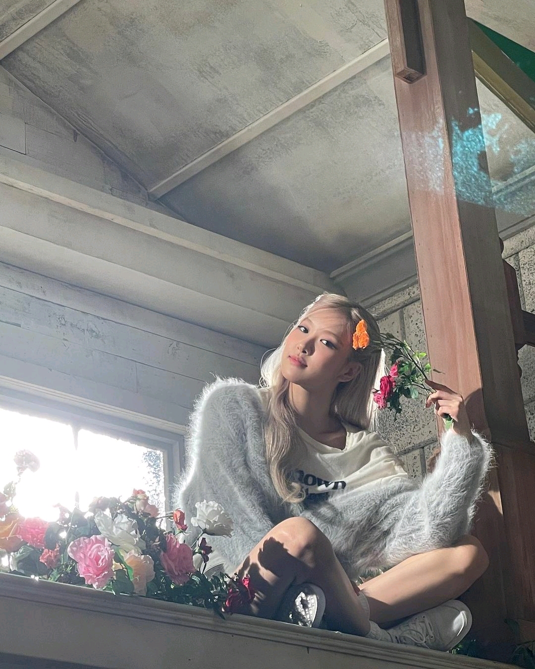 blackpink ins,jennieins图片 blackpink: ins3月20日更新