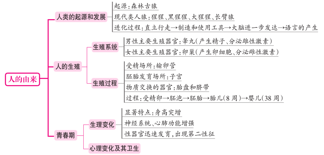 大师一百 | 初中生物:超全整理各章节概念图,提分就用
