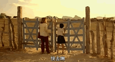 影视 电影 每日推荐:一部最好的公路电影《中央车站》 gif