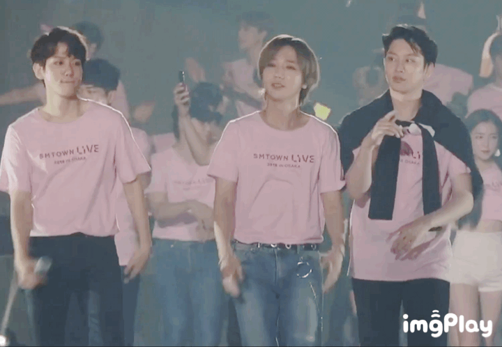 exo朴灿烈sm家族演唱会谁是最强王者当你参加sm家族演唱会时