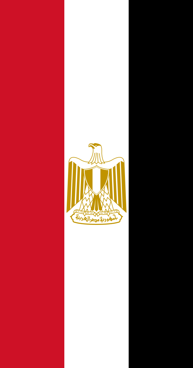 国家标志埃及国旗