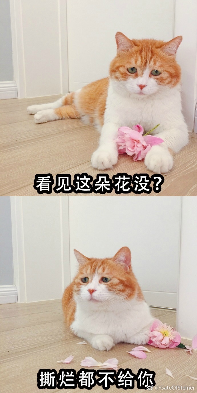 用了久,终于找到1这些表情的本尊了!微信动态表情难过失落图片
