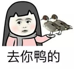dd37c15e5d21f43adaf77b332f325f19715e212d.jpg