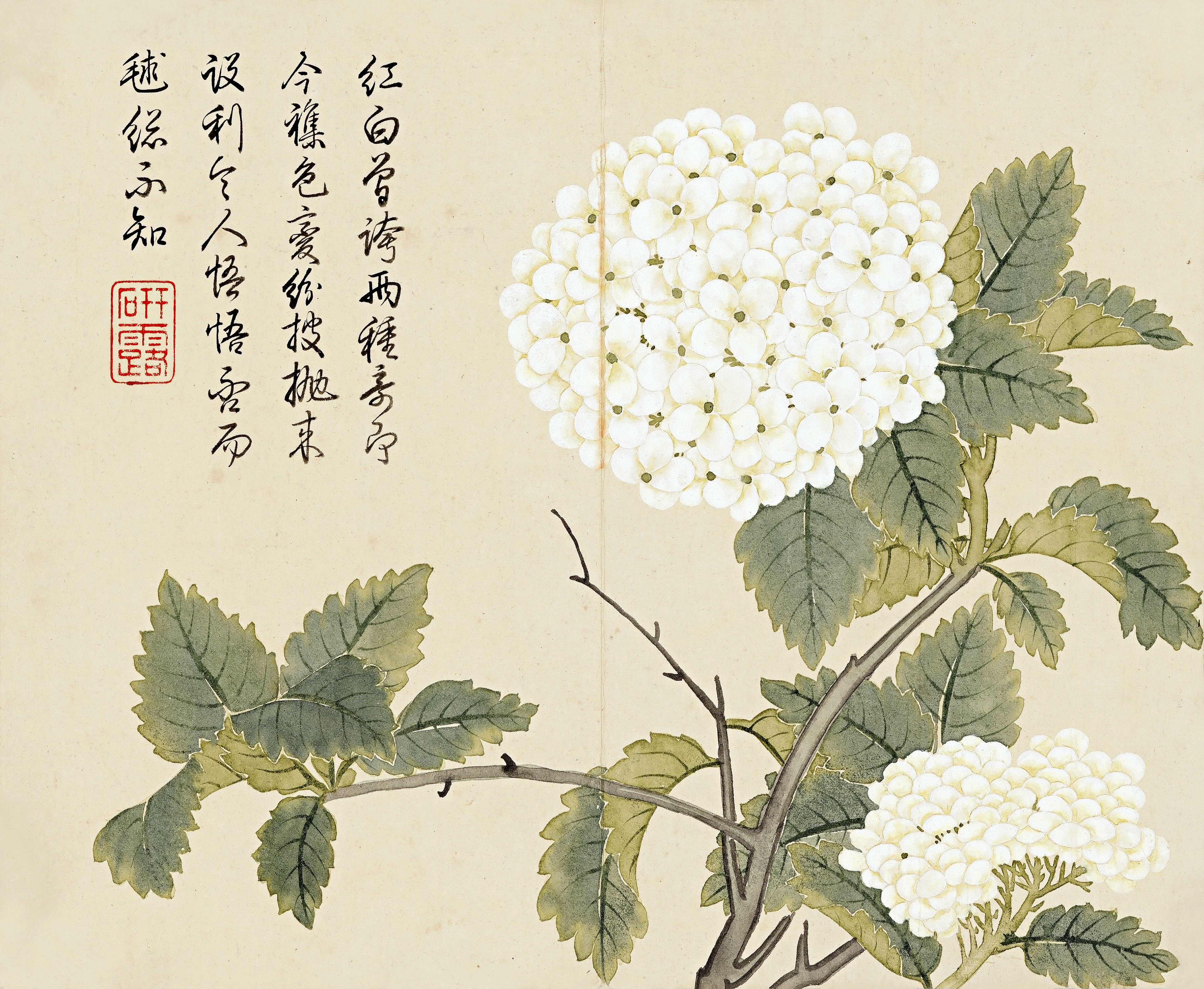国画:如何临习清朝大才子董诰的没骨画