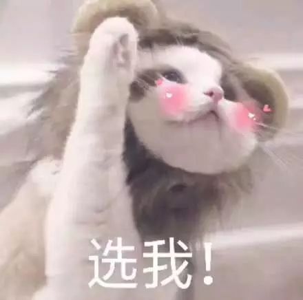 雅思英语考试