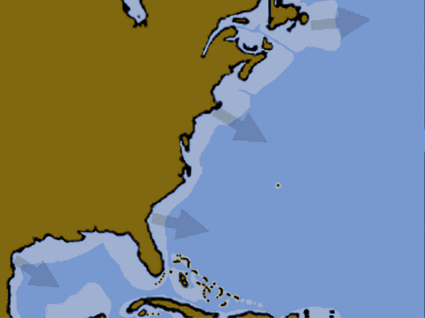 前方高能!27张地质动图,全球海洋地质构造形成一目了然!过足眼过瘾!