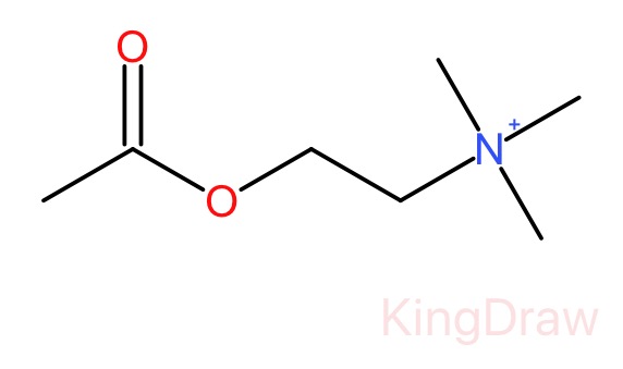 乙酰胆碱
