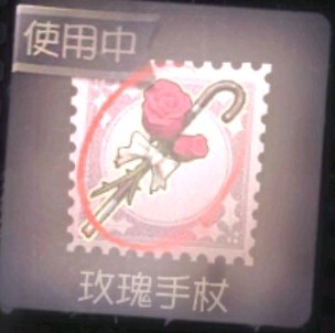 六月玫瑰塑身衣的量体配码_玫瑰手杖许愿码_未使用过的许愿码大全